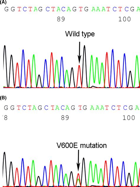braf v600e mutation sequence